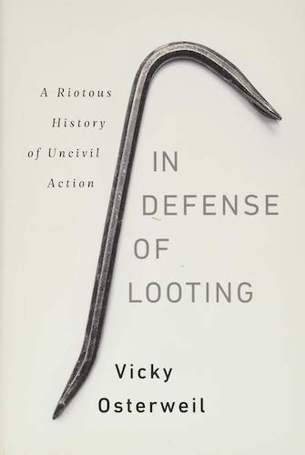 In Defense of Looting