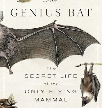 The Genius Bat