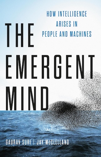 The Emergent Mind